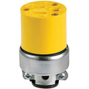 Conector de Vinil Blindada NEMA 5-15 15A 125V~