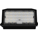Wall Pack Econo Led 40W