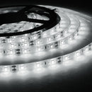 Tira de Luz Led 6W